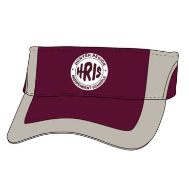 HRIS VISOR